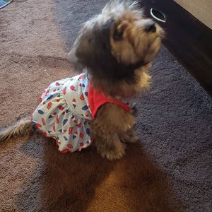 Meet your Posher, Janet